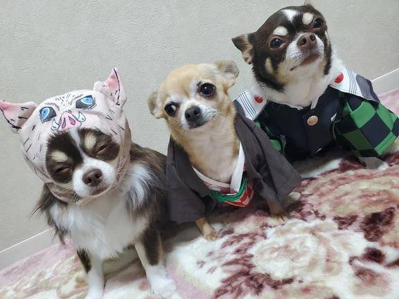 ☆もうすぐ～☆