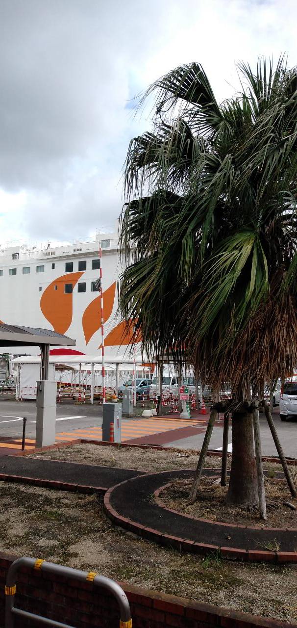 ドラの音と共に🚢