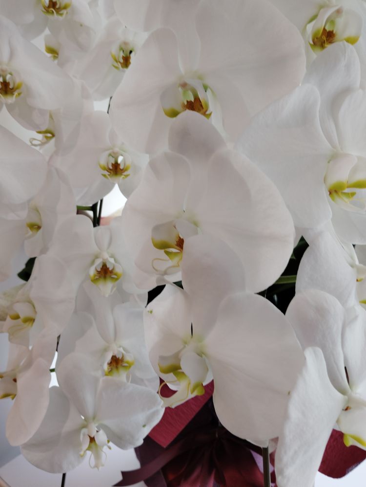 おはようございます☀