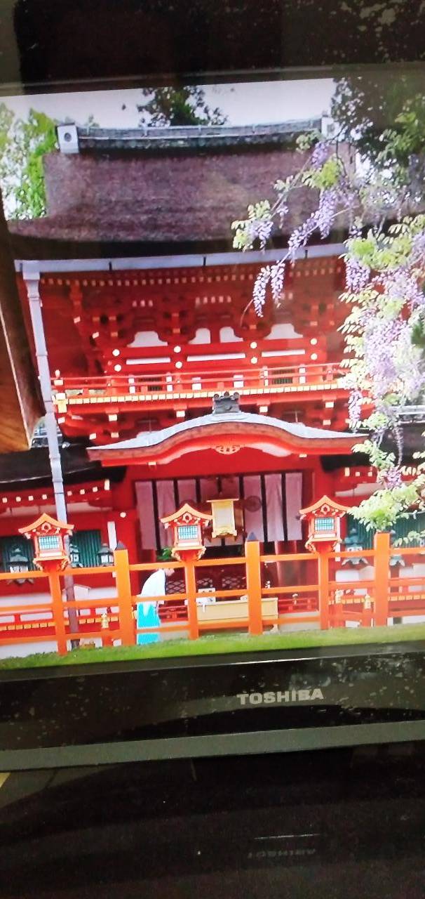 ☔☔☔雨のスタートですね