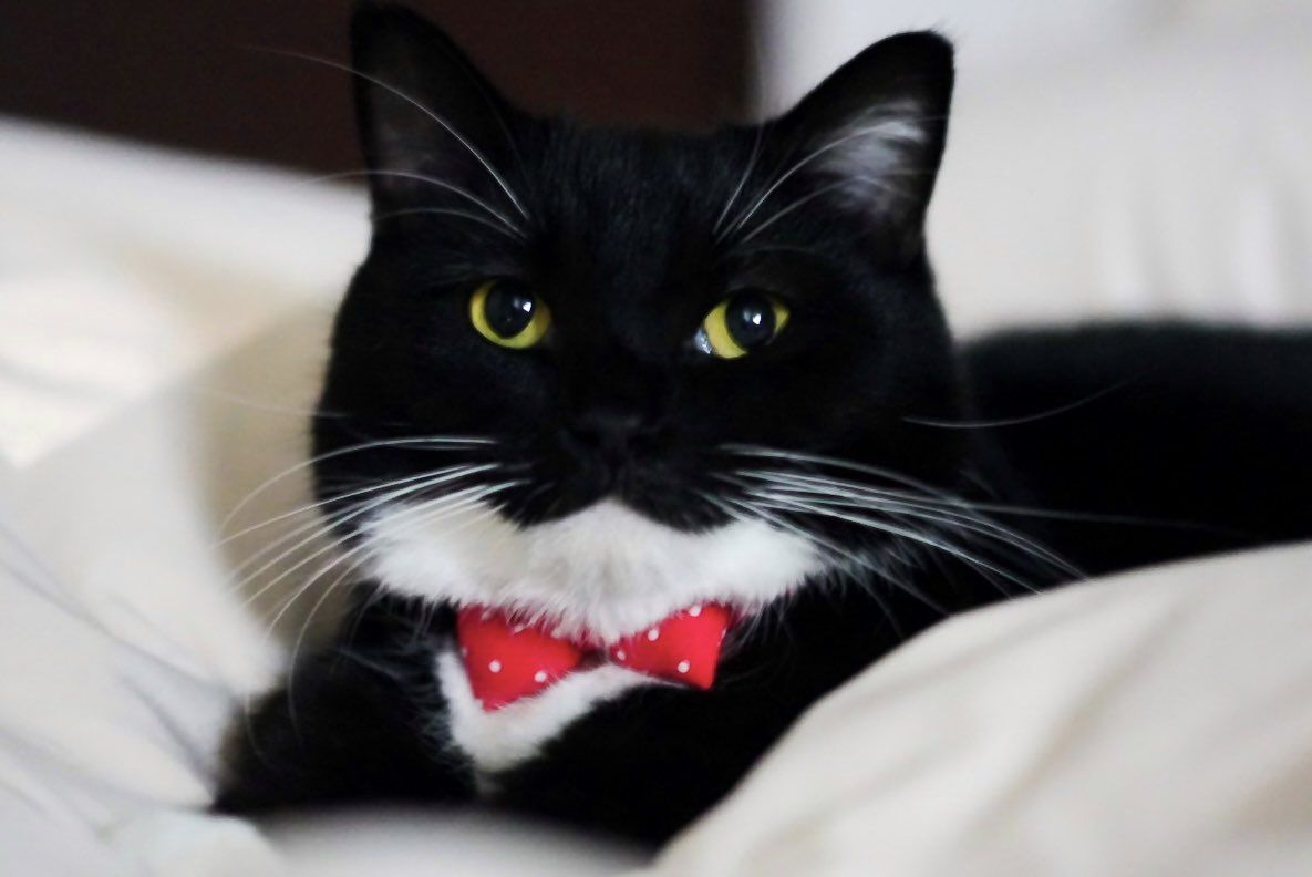 皆様お疲れ様です♡木宜しくお願い致します