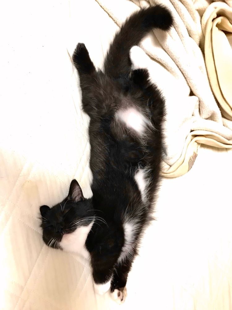 無料コスプレ♡個人オプション