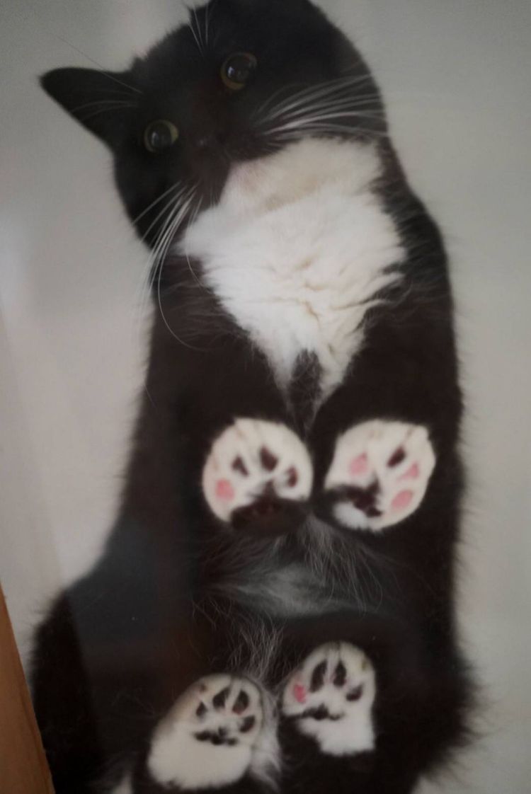 ゆきなさん個人イベント♡