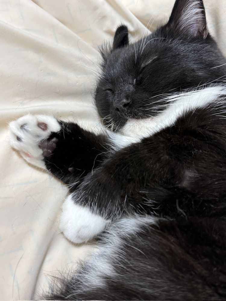 皆様お疲れ様です♡金は地元で様子見る感じです