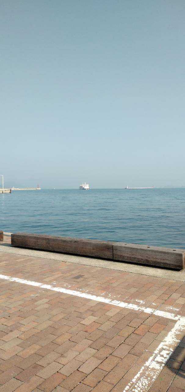 昨日のおさぼりで