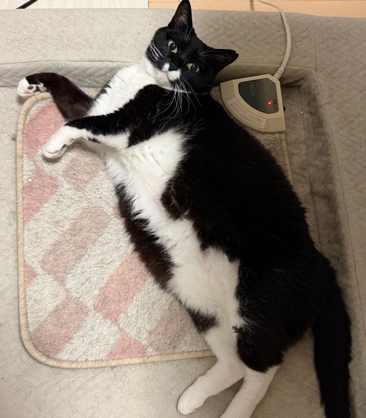 お題：ギャンブル場でデートってありだと思う？に回答♪