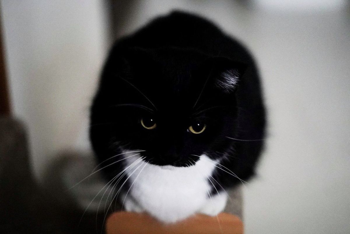 お題：今日は「身だしなみを整える日」接客する時に心がけてることは？に回答♪