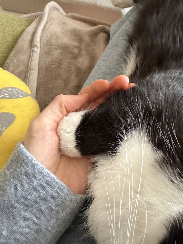 お題：ペット飼うならこれだけは覚悟して！ってありますか？に回答♪