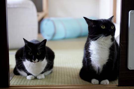 皆様おはようございます☆今日は松山にいます…