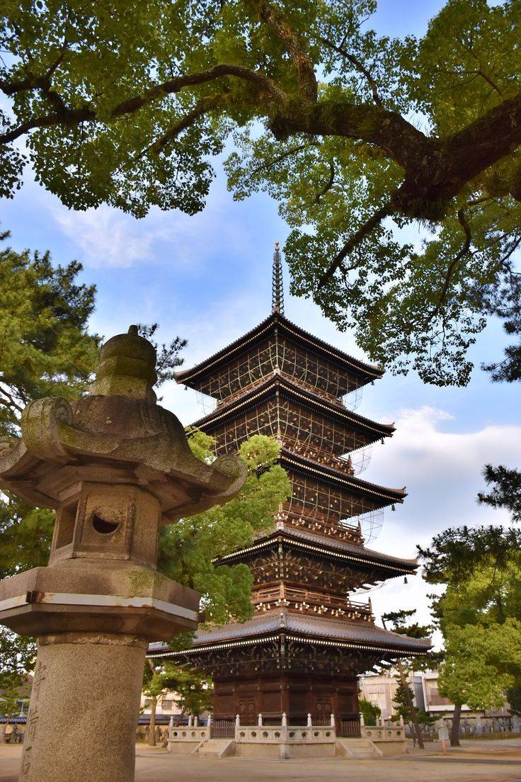 明日善通寺に