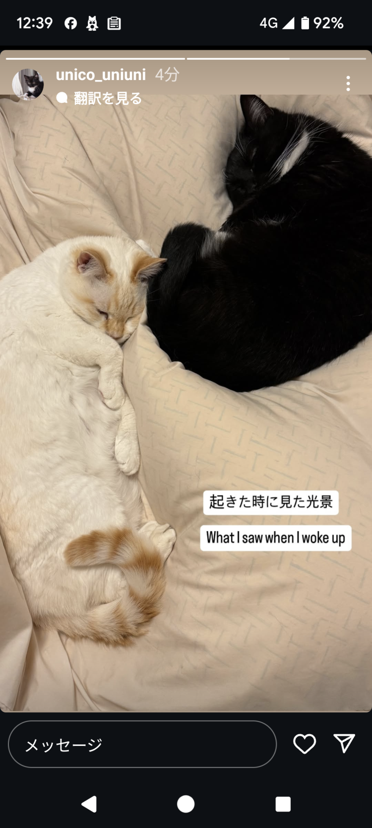 前半ありがとうございました。後半も宜しくお願い致します