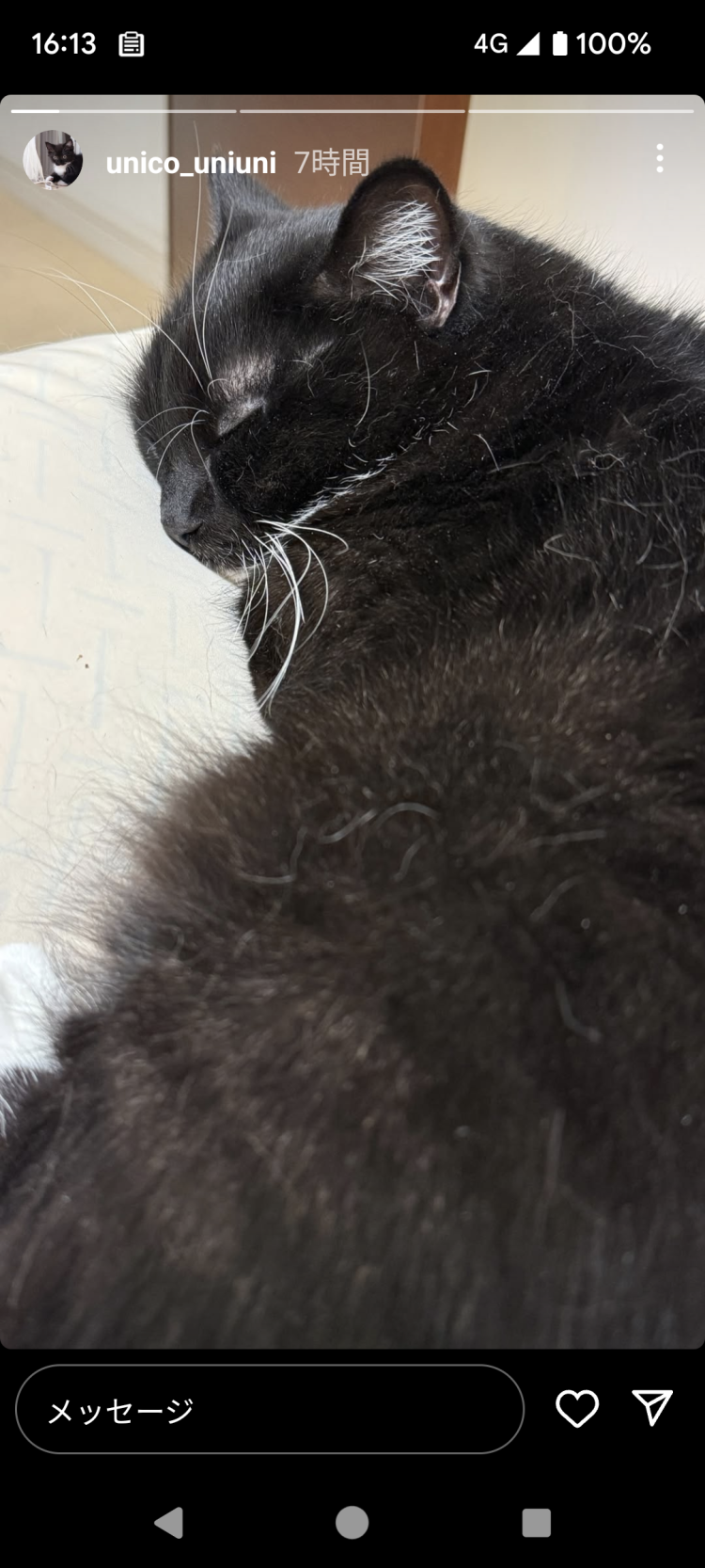 今日、上がりで早めに寝ます。お疲れ様でした