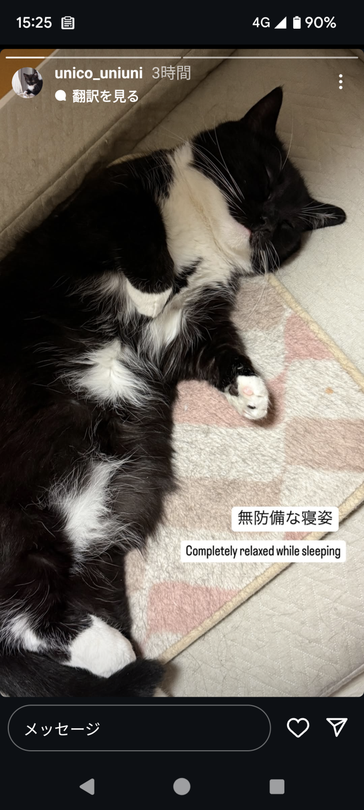 皆様おはようございます。今週は今日と明日までかな