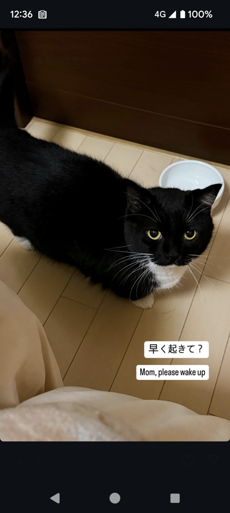前半ありがとうございました。０時頃まで今日受付します