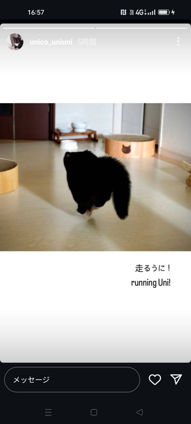 写メ日記に思うことがあります