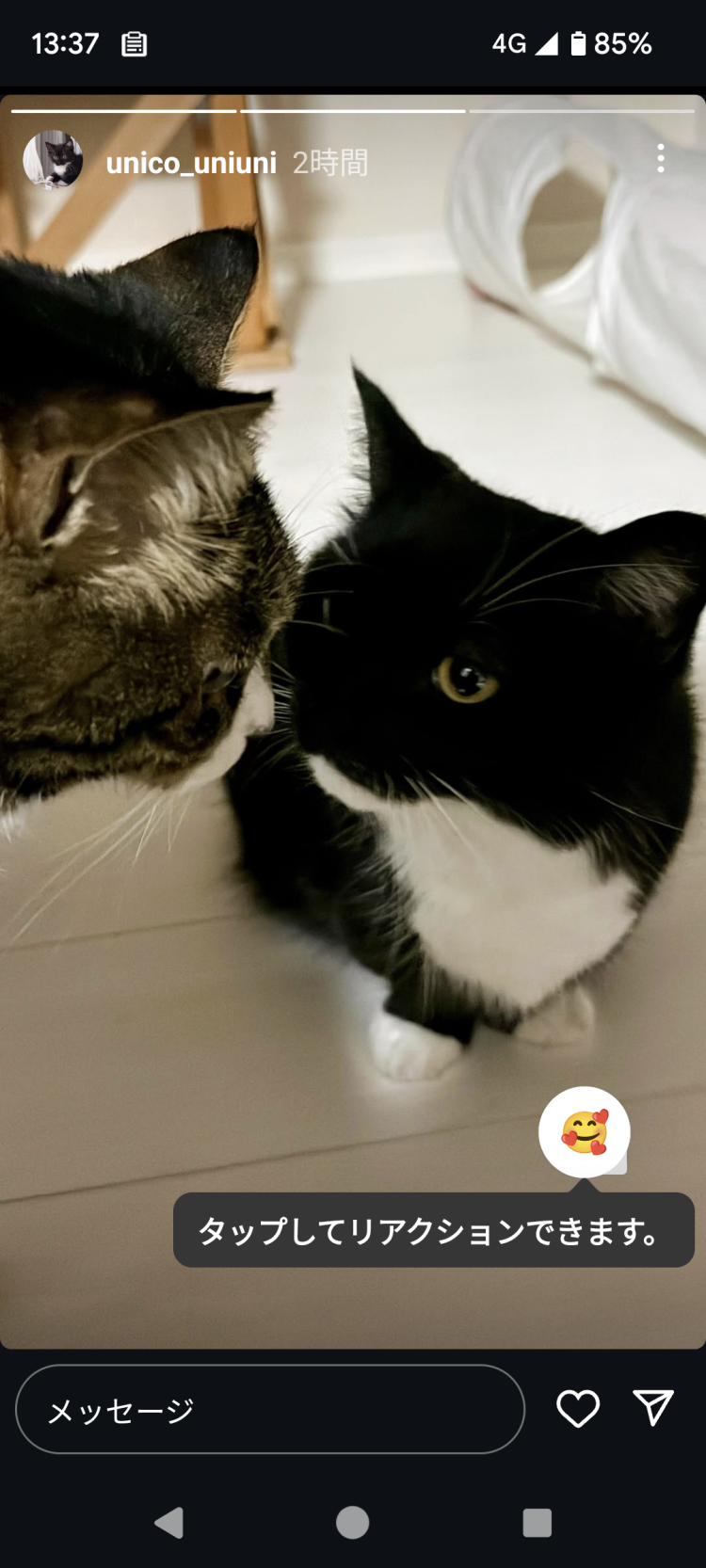 今週今日まで宜しくお願い致します