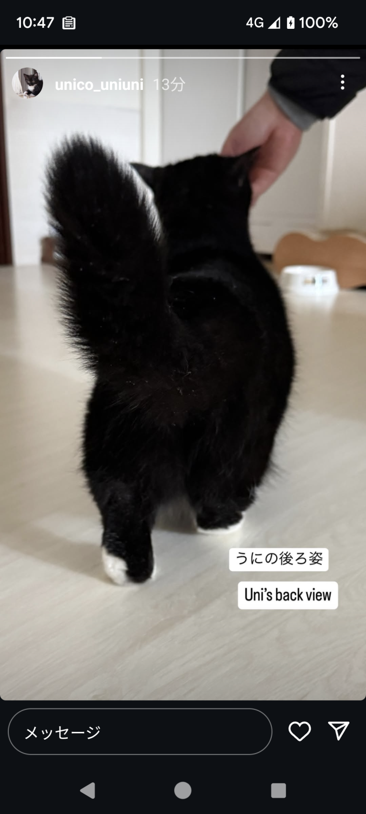 皆様お疲れ様です。天気回復しましたね