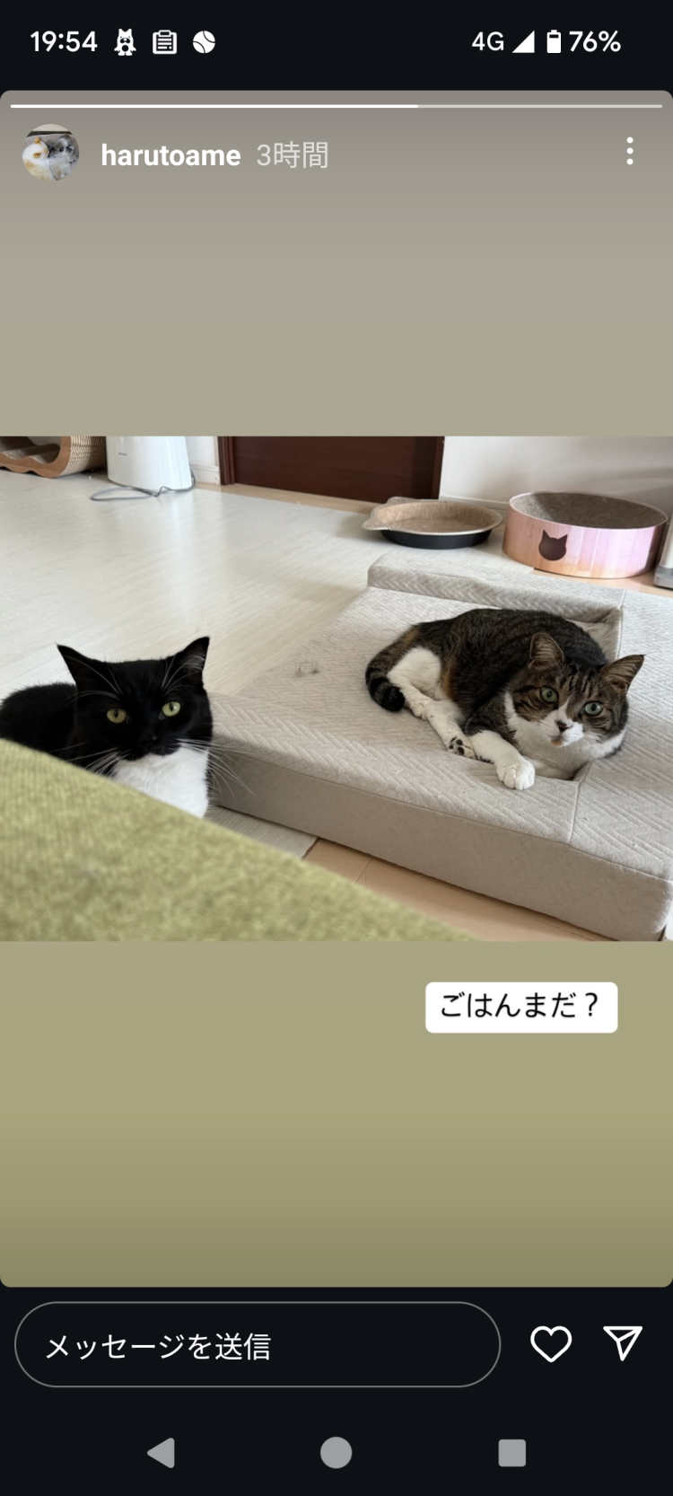 皆様おはようございます本日も宜しくお願い致します