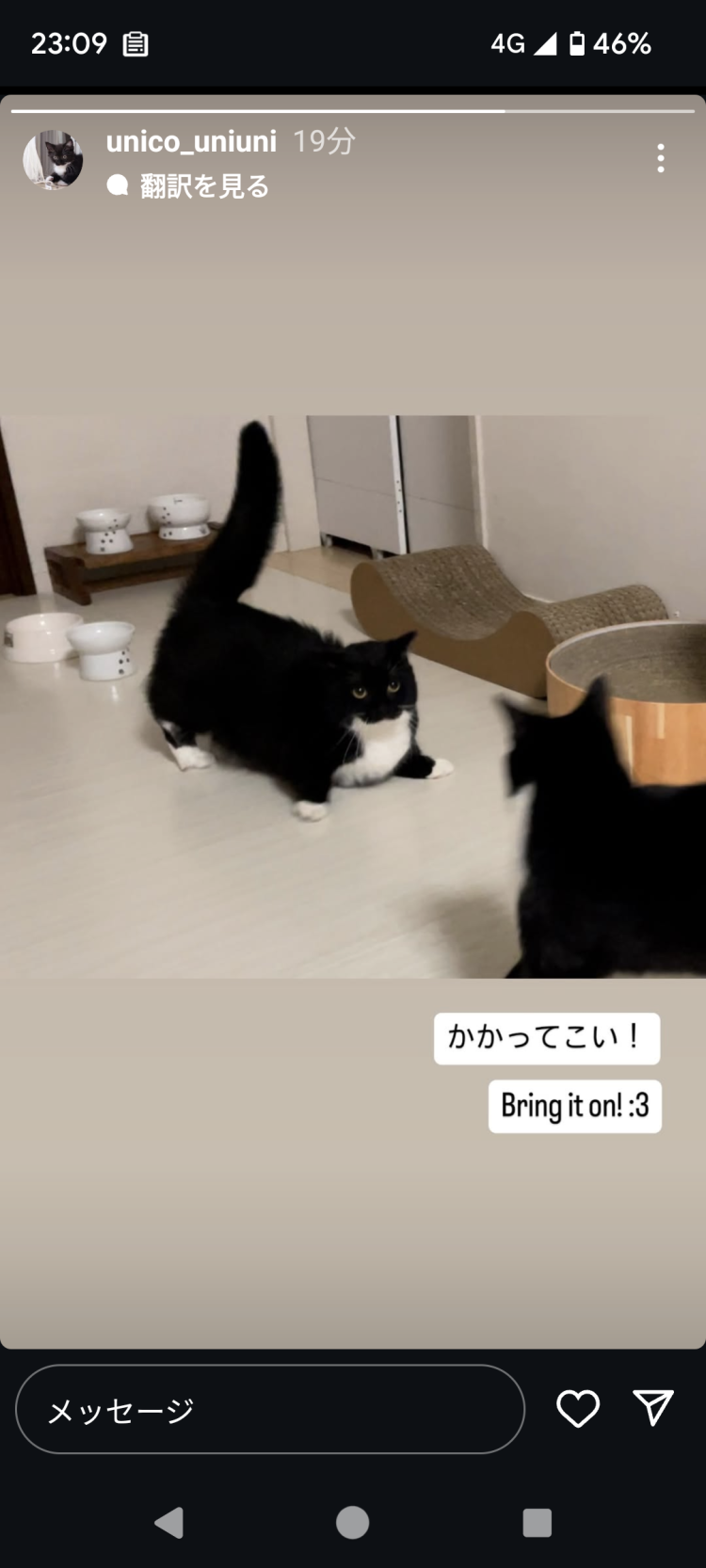 今日夕方過ぎまで受付します