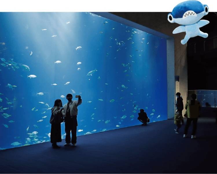 四国水族館♪