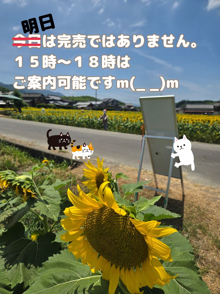 にじ