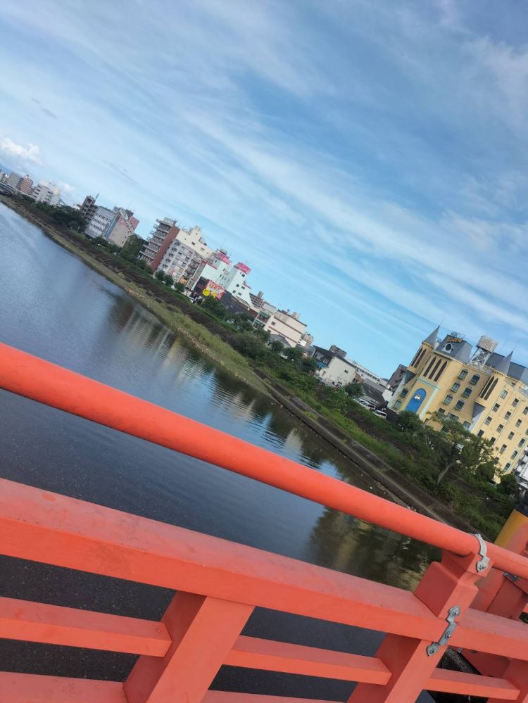 今週は荷物を〇〇するので一日出します
