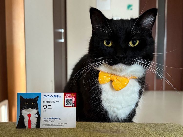 【衝動買いしたもの】