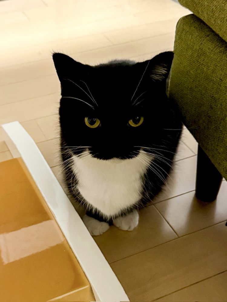かおり