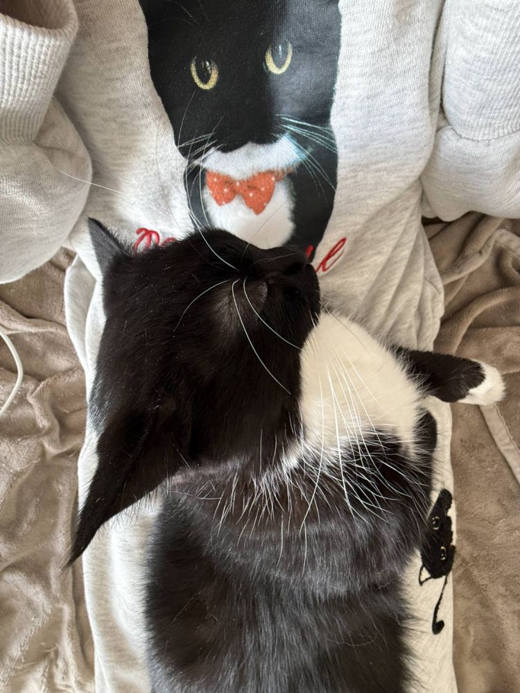 無料コスプレ♡個人キャンペーン