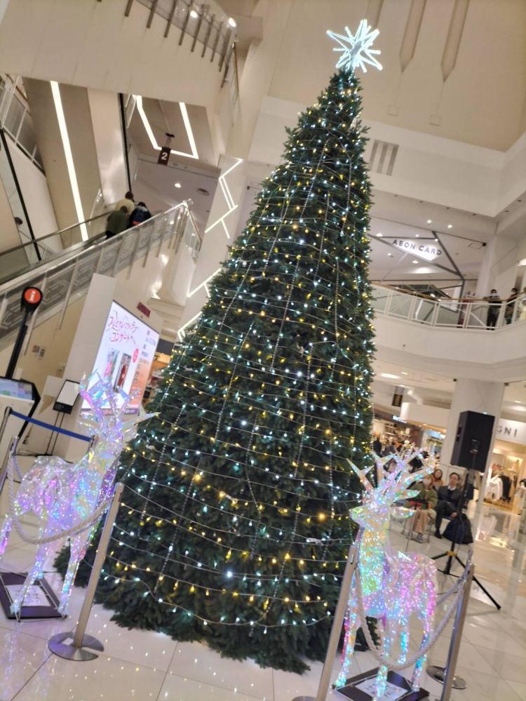 皆様お休みなさい♡