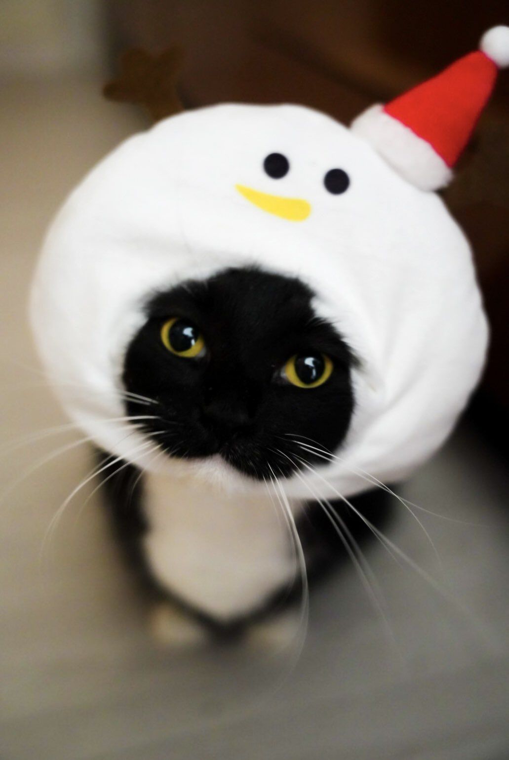 皆様お疲れ様です♡おやすみなさい