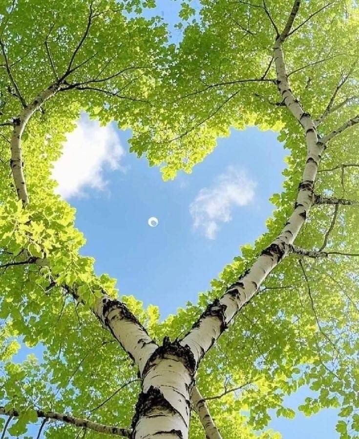 11日のビジネスのお客様へ♪