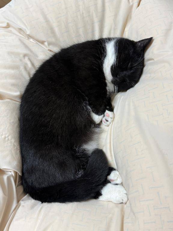 今週は今日と明日と金曜宜しくお願い致します?