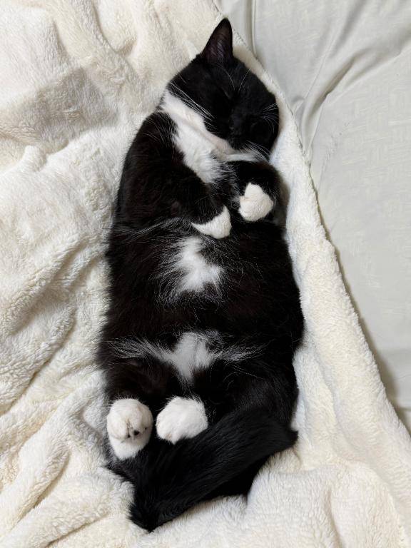 皆様おはようございます?今日と明日おやすみします