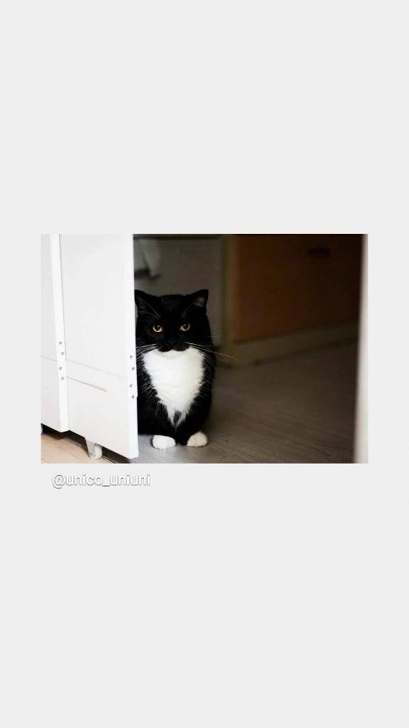 [お題]from:サラダ？？さん