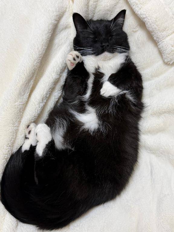 皆様お疲れ様です本日リフレッシュの為にお休みしています?