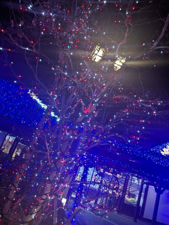 皆様お疲れ様です?ゆっくり休んで下さい?