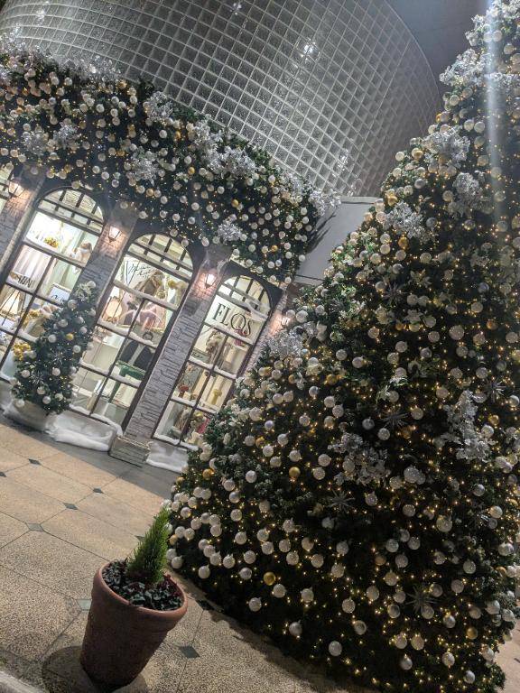 皆様おやすみなさい?