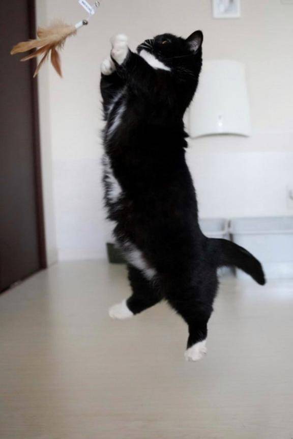 [お題]from:フリスク一気さん