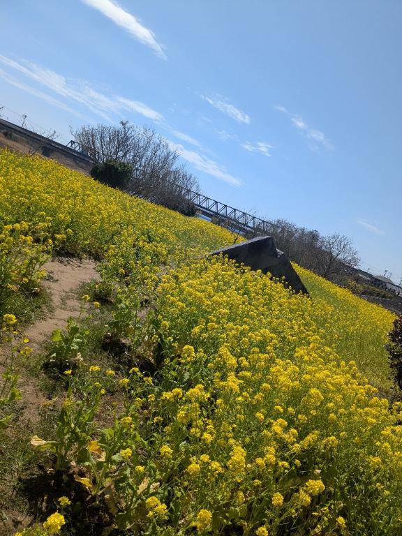 特技についてお話します?