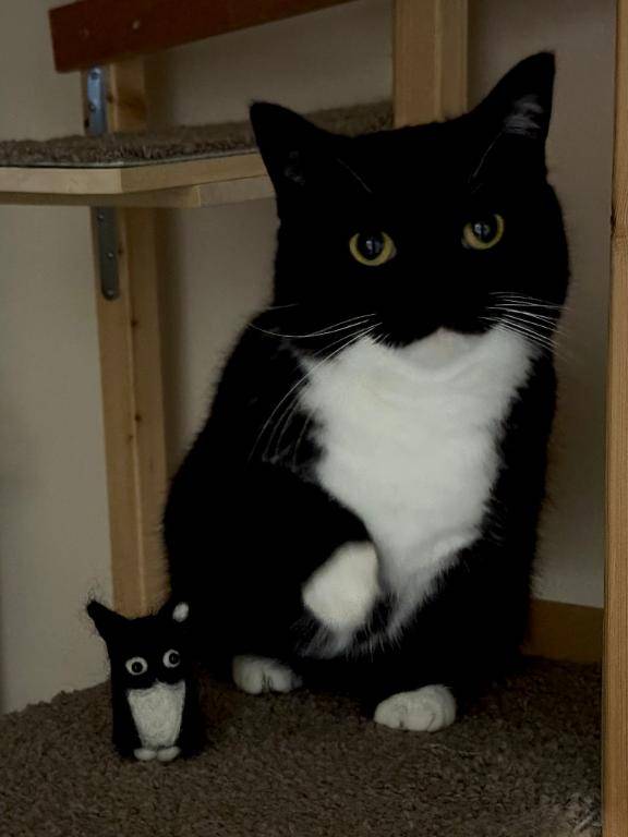 ペットを飼ったことはありますか？何を飼ってた？