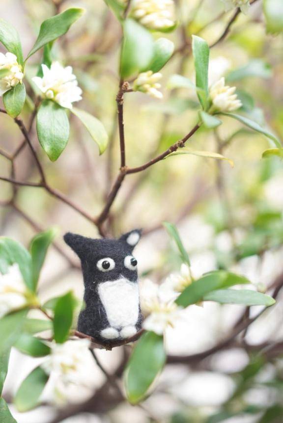 マシュマロおっぱい?触りにきてね リクエストも受付中 事前予約がお勧めです?