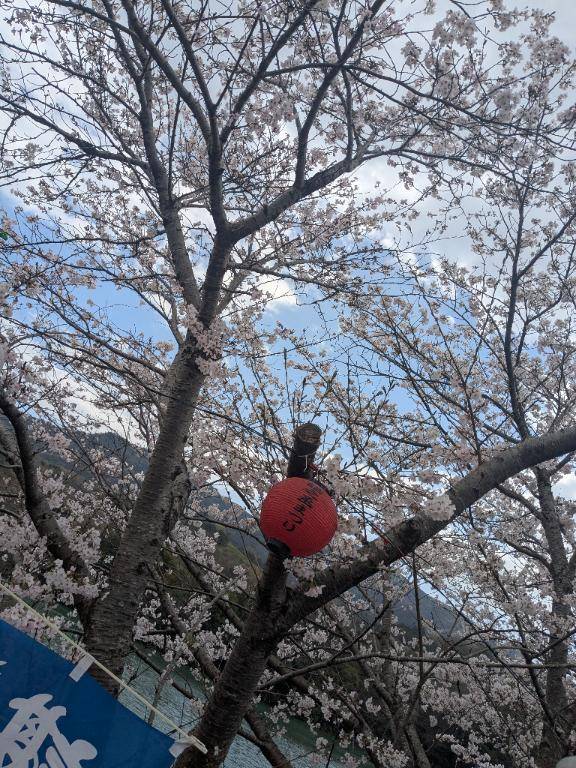 皆様おはようございます?本日明日まで宜しくお願い致します