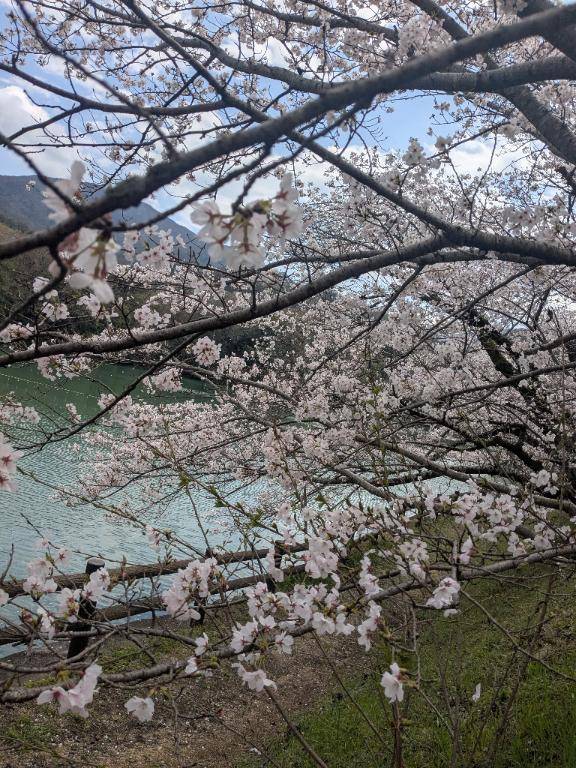 [お題]from:宴会部長さん