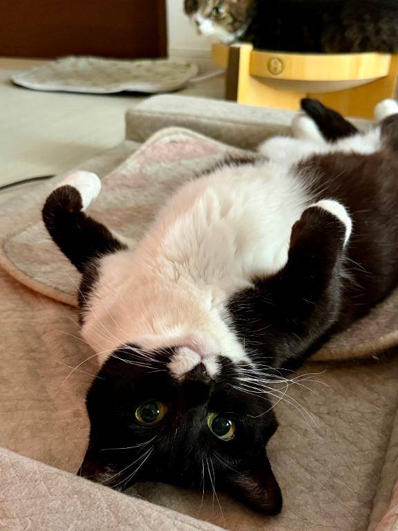 マシュマロおっぱい?触りにきてね リクエストも受付中?高松店も受付中?