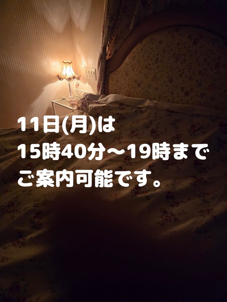 11日ご案内枠だいぶ空いております。