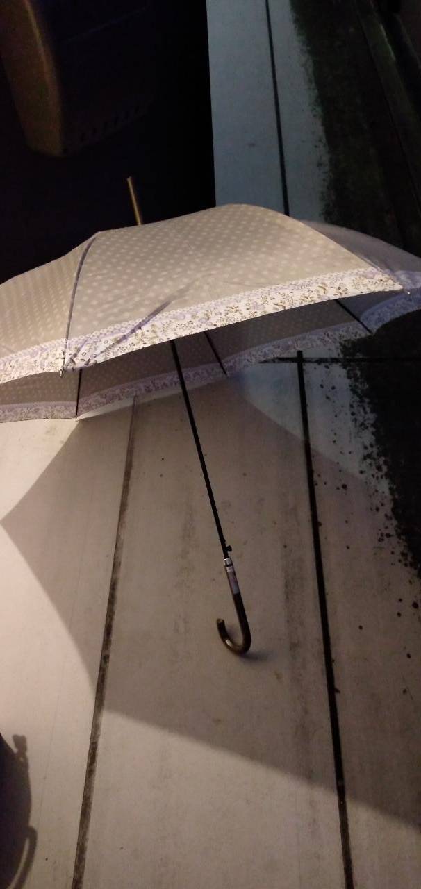 久々に傘の華が🌂