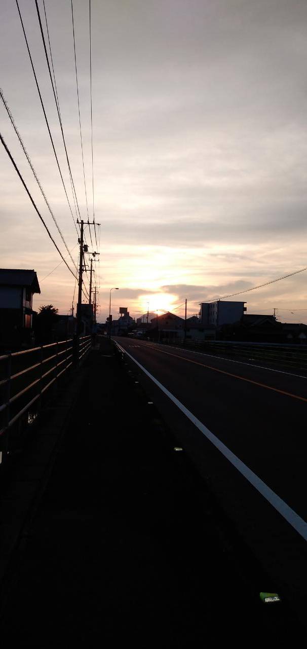 光り輝いていたので