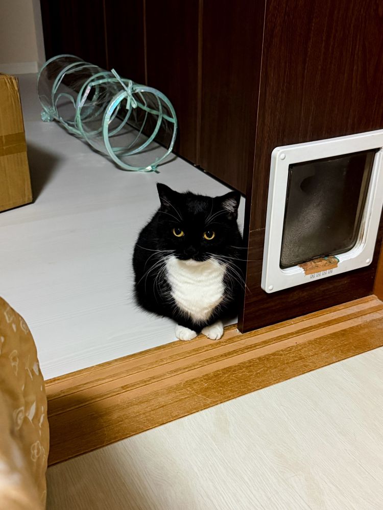 【一目惚れしたことあるorない】