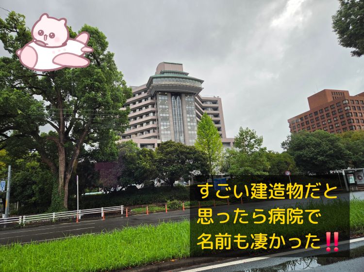 今日は13時から出勤になりました。